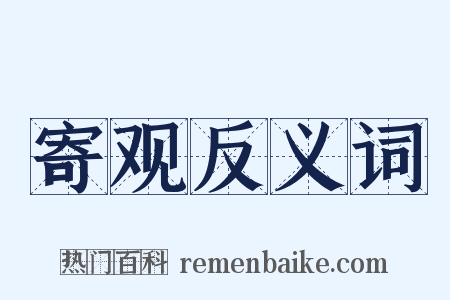 寄观反义词是什么意思的图片